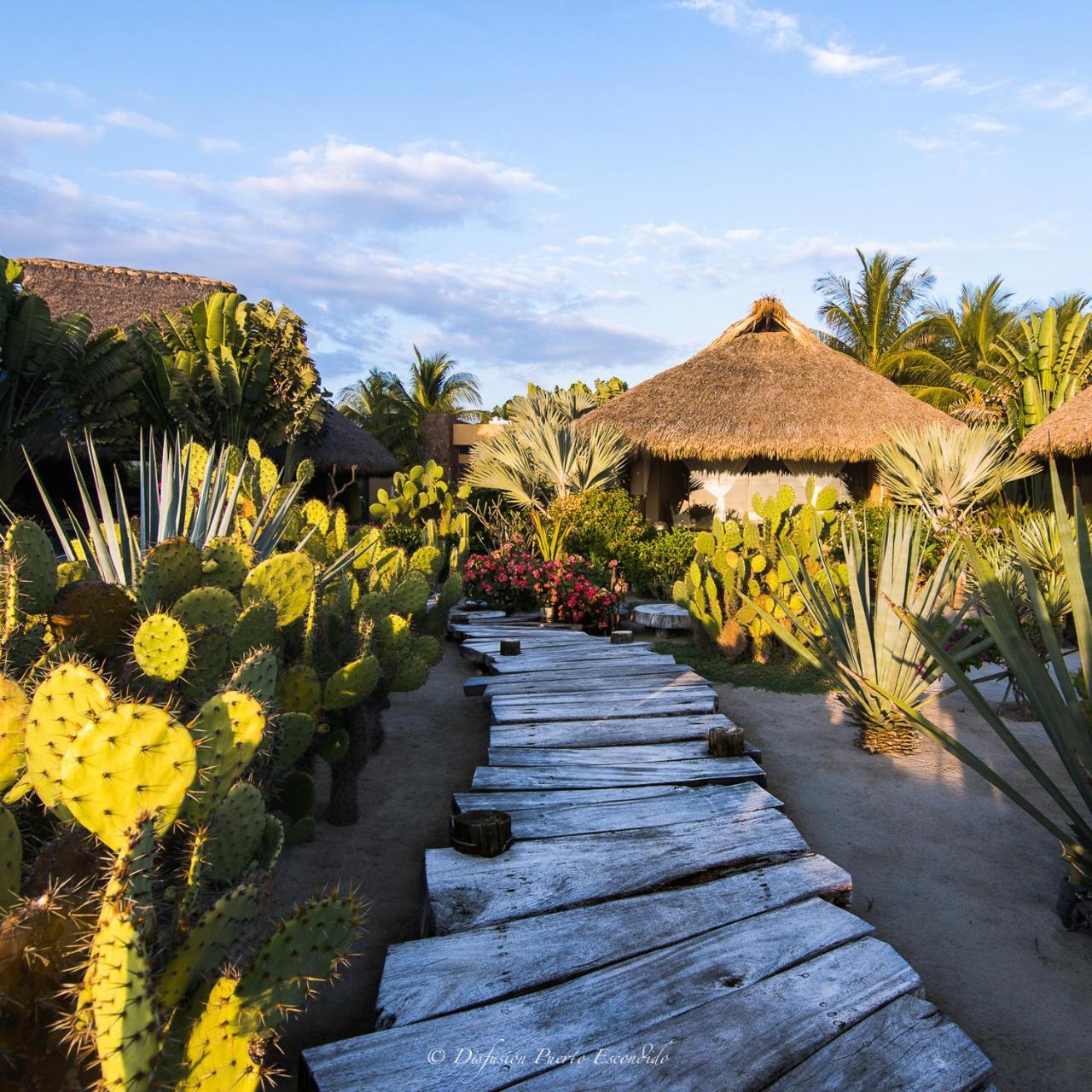 Samora Luxury Resort Santa Maria Colotepec Exterior photo